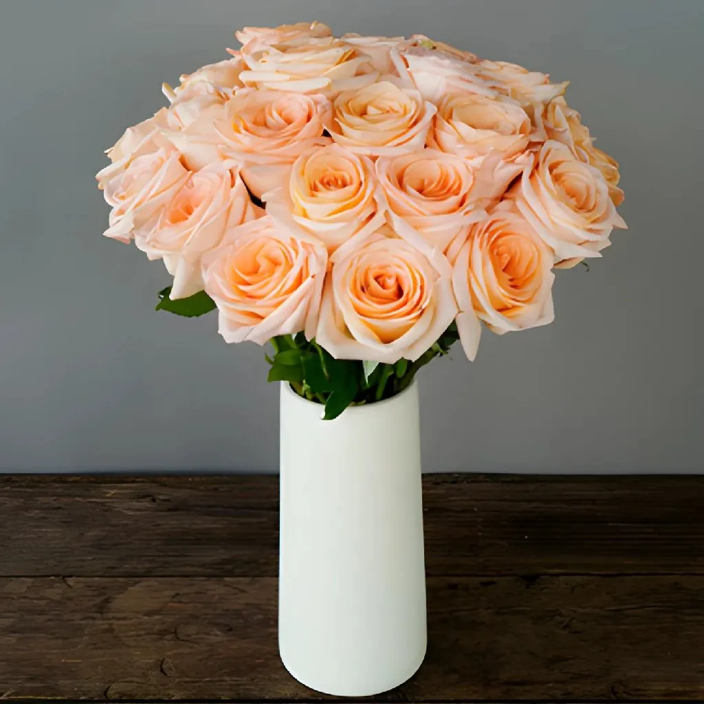 Honey Bella Peach Rose