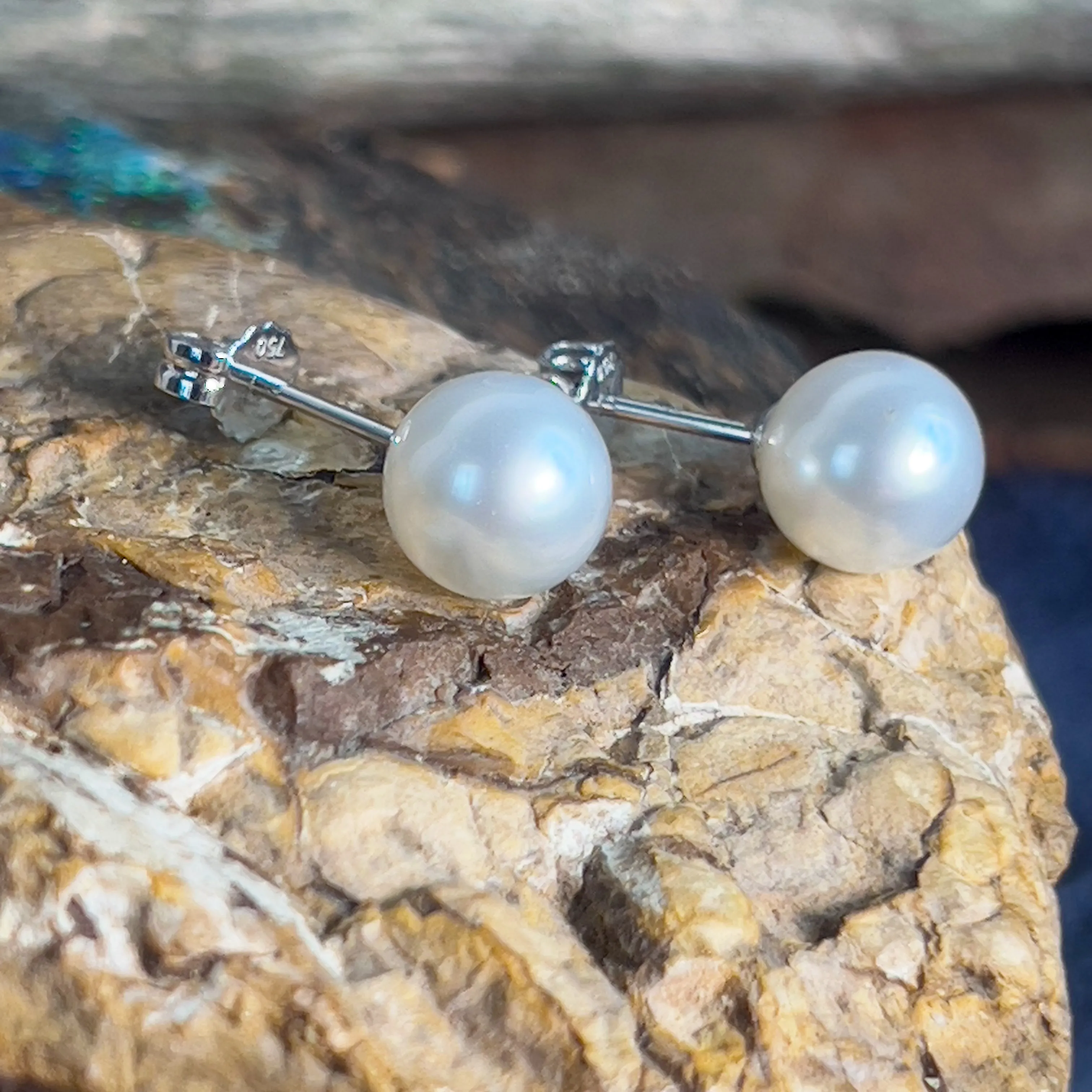 Pair of South Sea Pearls 8-9mm with 18kt White Gold studs