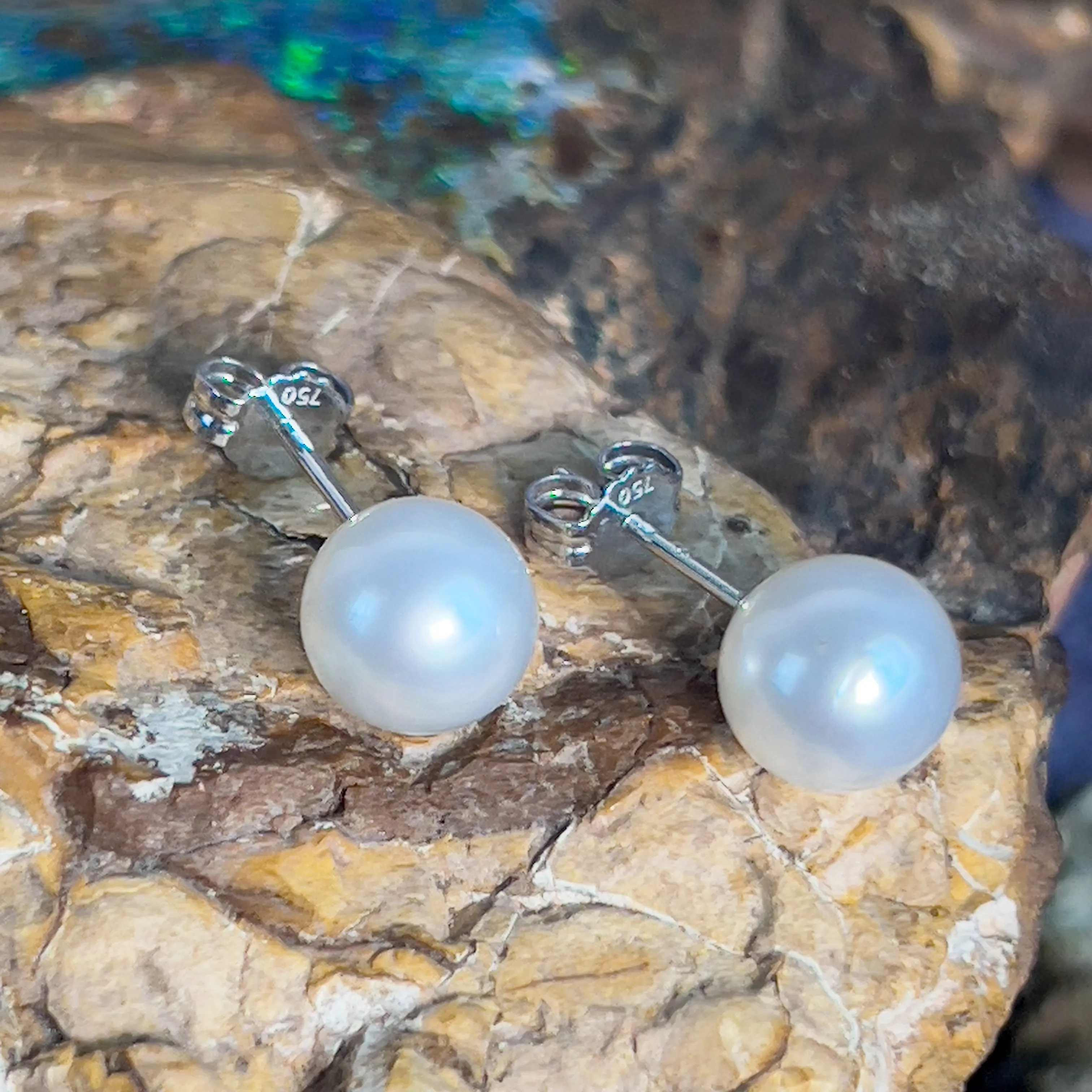 Pair of South Sea Pearls 8-9mm with 18kt White Gold studs