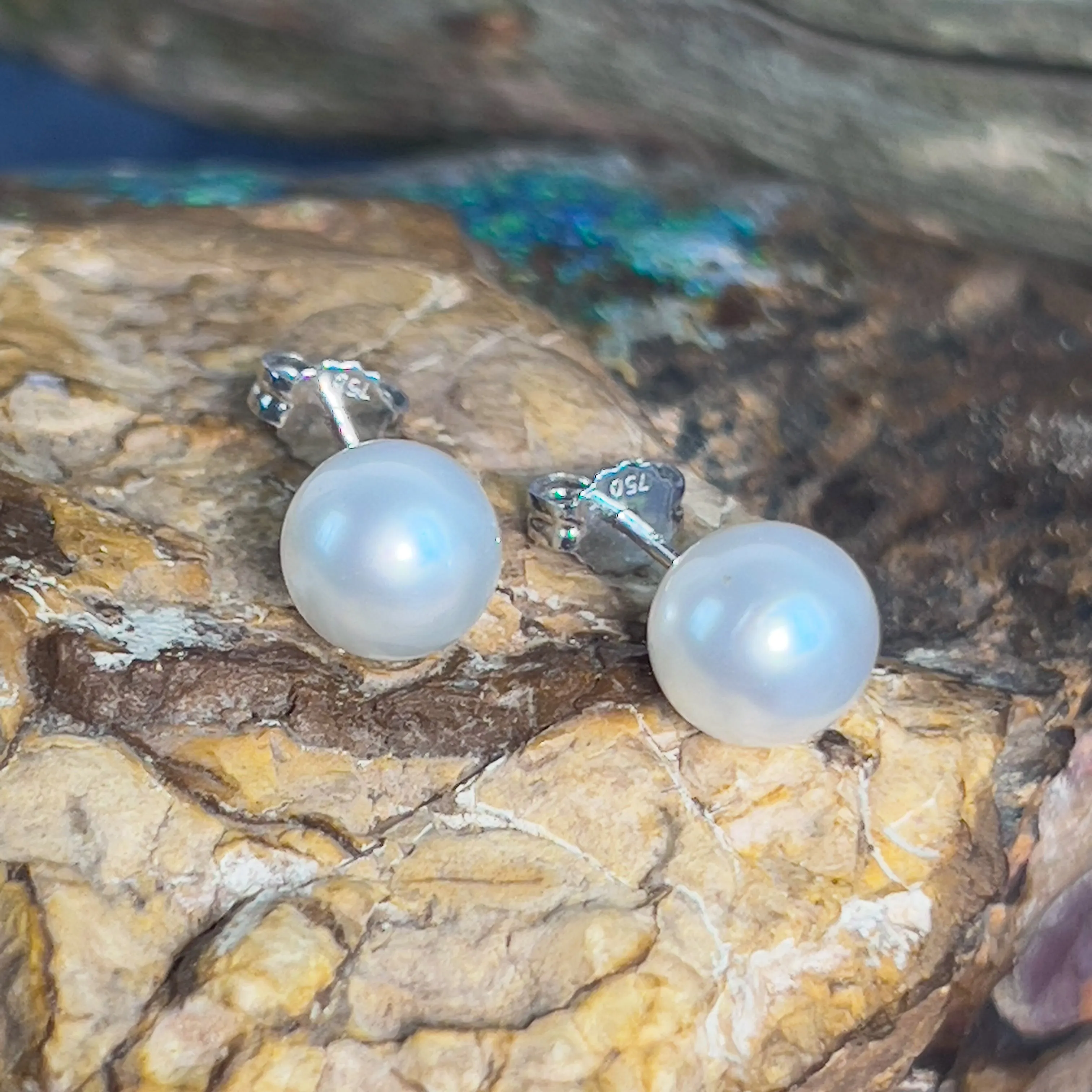 Pair of South Sea Pearls 8-9mm with 18kt White Gold studs