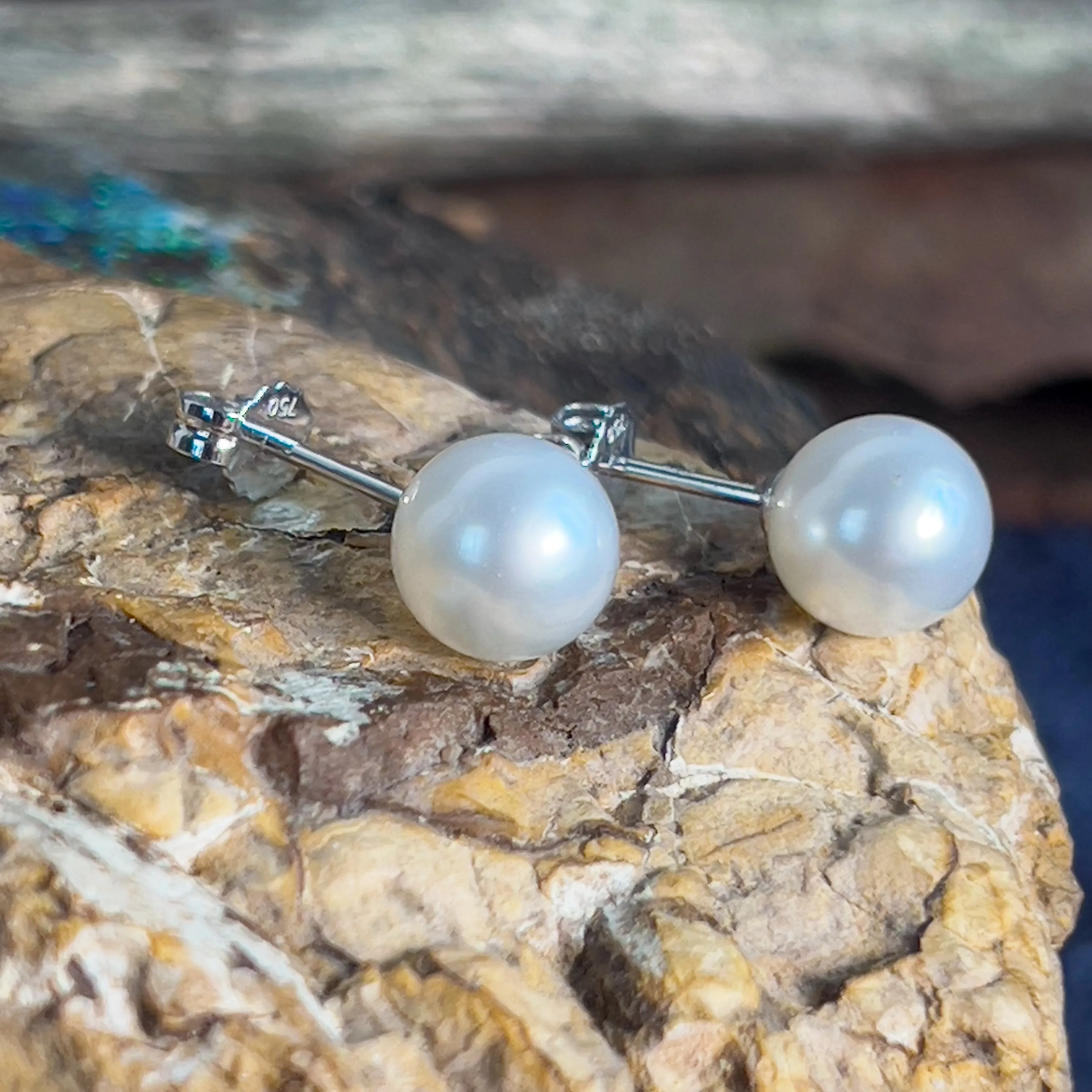 Pair of South Sea Pearls 8-9mm with 18kt White Gold studs