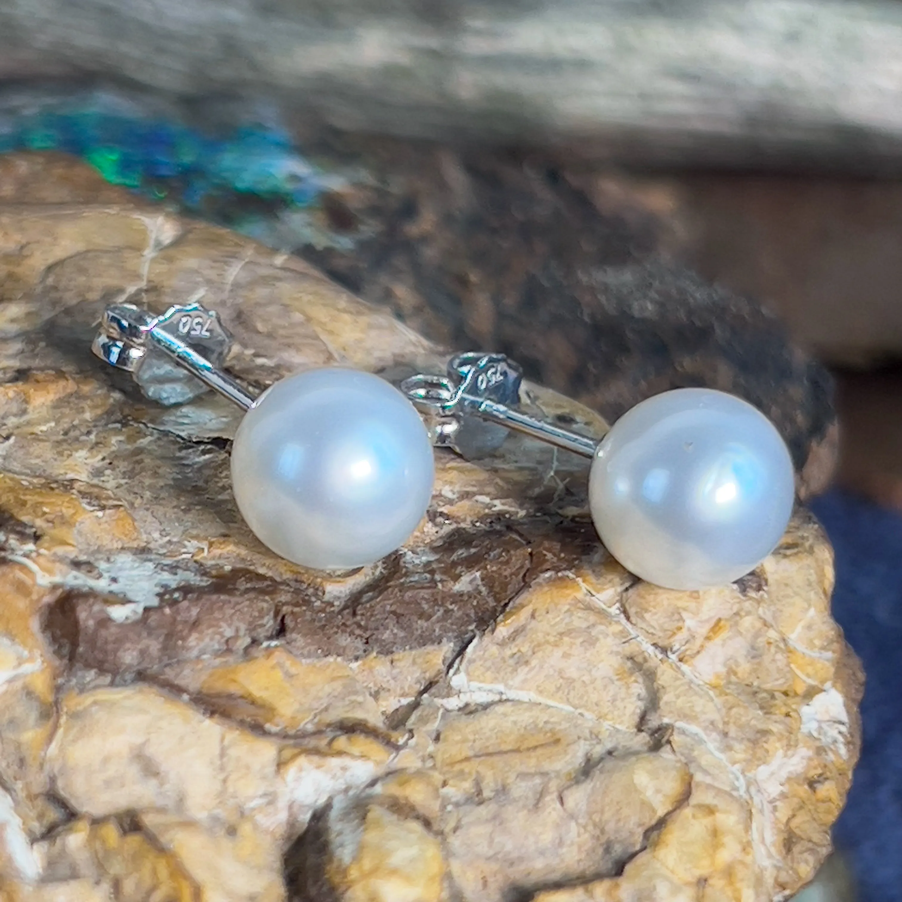 Pair of South Sea Pearls 8-9mm with 18kt White Gold studs
