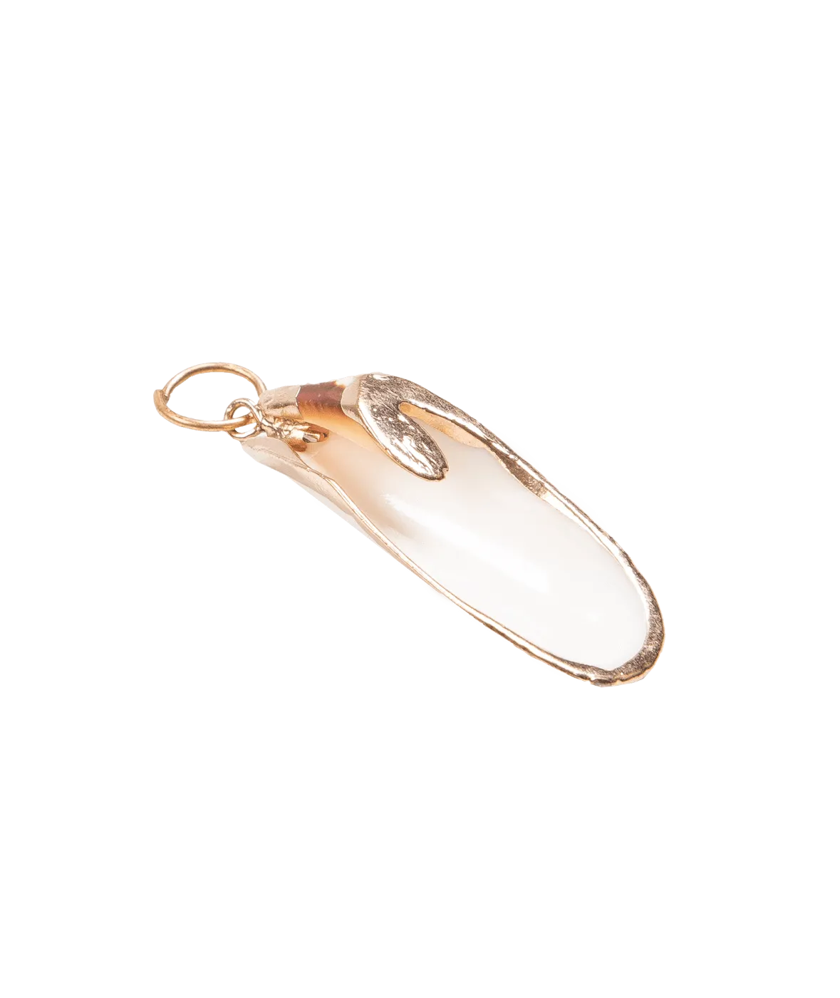 Shell Pendant Charm - Gold